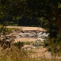 2015-05 South Africa/iMfolozi/DSC_0064.JPG